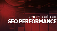 View Our SEO Performance!